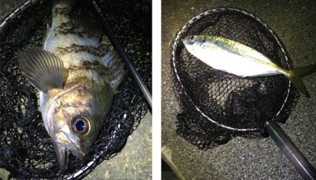 Подсачек Tict Minimalism InstaNet EG-240