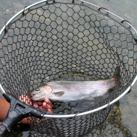 Подсачек DaiichiSeiko Auto King Frame 38-150R