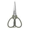 Ножницы DaiichiSeiko MC Scissors 25 Foliage Green