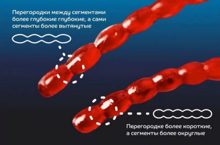 Силиконовые приманки Crazy Fish Nano worm 86-90-59-6