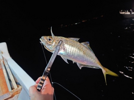 Захват DaiichiSeiko Gar Grip MC Custom Dark Earth
